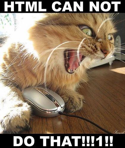 「猫ミーム」とは？なぜ流行ったのか・使い方をゆるく解説のアイキャッチ画像